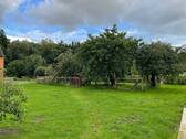 Streuobstwiese - 