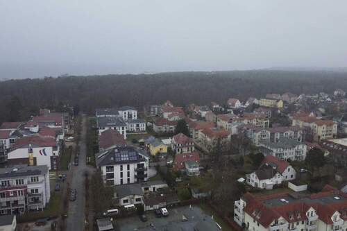 Küstenwald und Ostsee - 