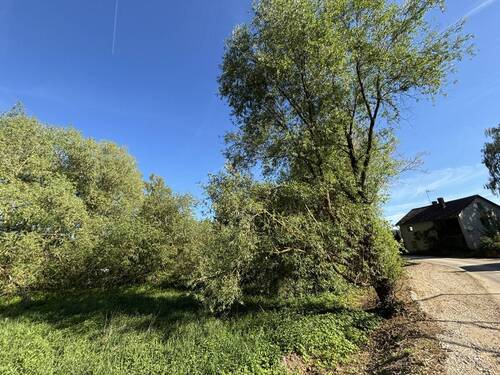 Freizeitgrundstück - 