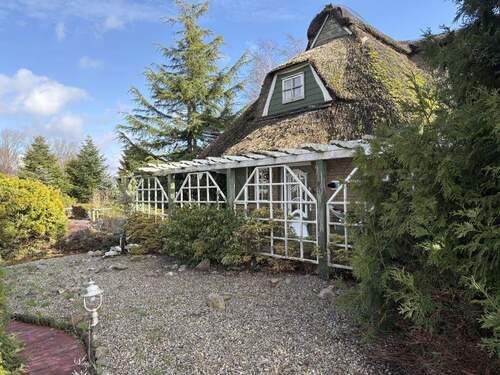 Seitenansicht West - 