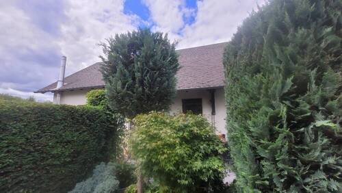 seitlicher Blick - Einfamilienhaus mit 120,00 m&sup2; in Weischlitz zum Kaufen