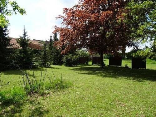 Garten - 