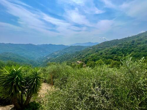 AP915_22 TERRA ITALIA IMMOBILIEN_LIGURIEN_APRICALE - 