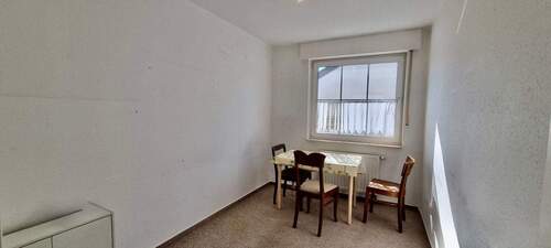 20260318_131239.jpg - 