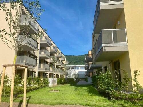 Außenansicht - 2 Zimmer Etagenwohnung zur Miete in Heubach