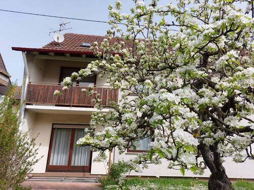 Frontansicht - 6 Zimmer Doppelhaushälfte in Leonberg
