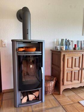 Schwedenofen mit Specksteinplatten - 