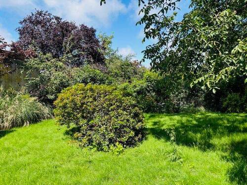 Garten - Super Baugrundstück in ruhiger grüner Siedlungslage in Kaulsdorf-Süd
