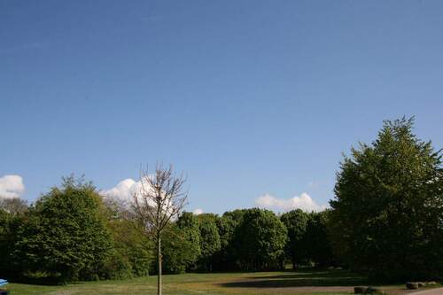 Ziegelweiher Park in direkter Nachbarschaft - Etagenwohnung mit 150,00 m² in Erkelenz zum Kaufen