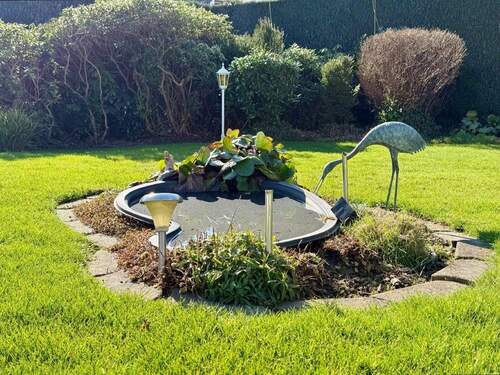 Kleiner Teich im Garten - 