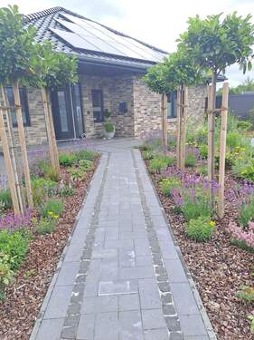 Straßenansicht - 6 Zimmer Bungalow in Weener