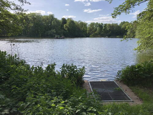 Waldsee - 