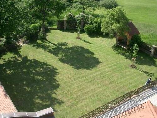 Gemeinschaftsgarten - 