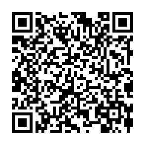 QR-Code - 