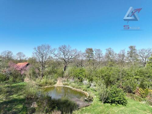 großer Teich - 
