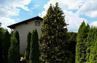 Hausansicht - Einfamilienhaus mit 276,00 m² in Breuna zum Kaufen