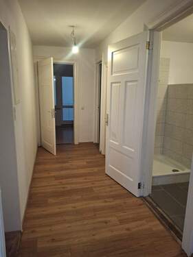 WhatsApp Image 2026-02-13 at 17.02.47(2).jpeg - 