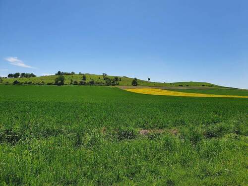 Der Offenberg, der Namensgeber - 