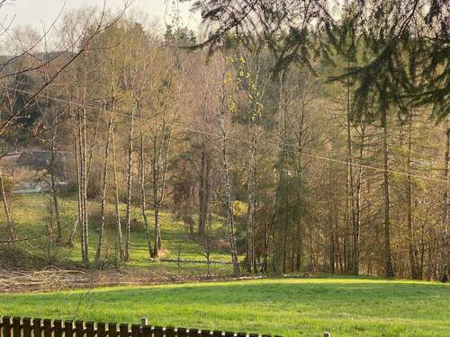 mhmfIhUQ - Kopie.jpeg - 