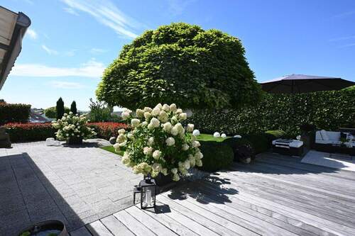 Terrasse - 4 Zimmer Einfamilienhaus in Spicheren