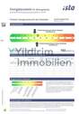 Energieausweis - 