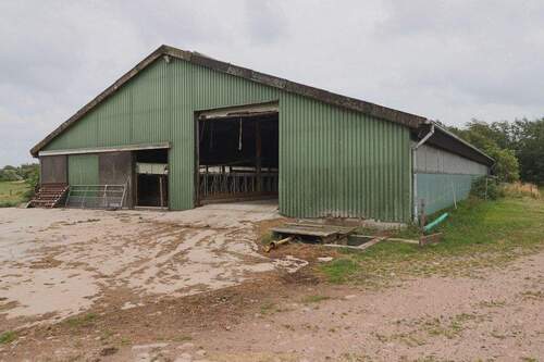 Stall - 7 Zimmer Bauernhaus, Landhaus in Pellworm