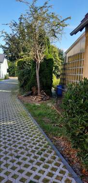 Zuwegung.jpg - Grundstück in Bielefeld zum Kaufen