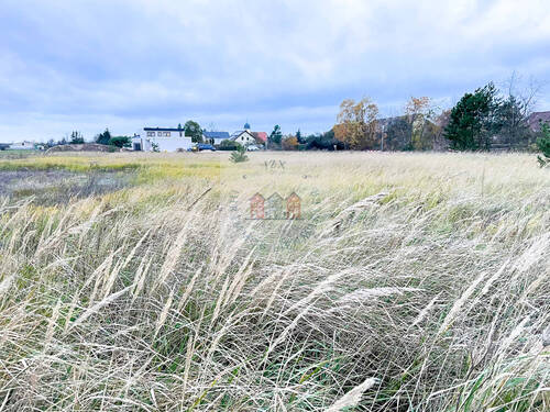 Ansicht 3 - Grundstück in Beilrode / Döbrichau