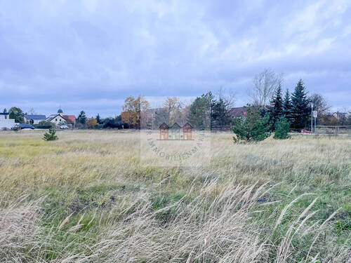 Ansicht 4 - Grundstück in Beilrode / Döbrichau zum Kaufen