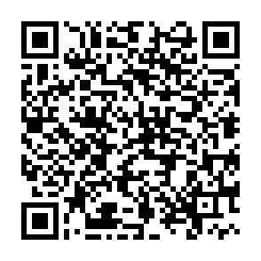 QR-Code - 