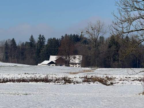 Alleinlage - 9 Zimmer Bauernhaus, Landhaus zum Kaufen in Argenbühl