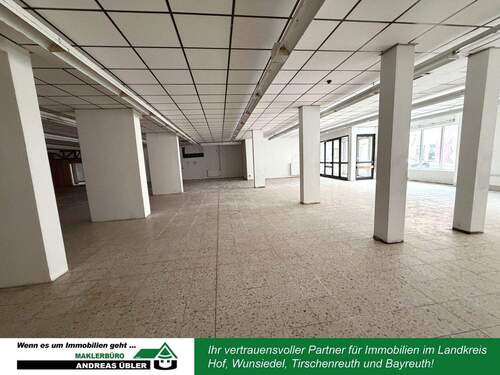 Erdgeschoss - 1 Zimmer Mehrfamilienhaus, Wohnhaus zum Kaufen in Arzberg