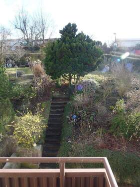 Blick in den Garten - 