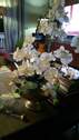 Impressionen - 