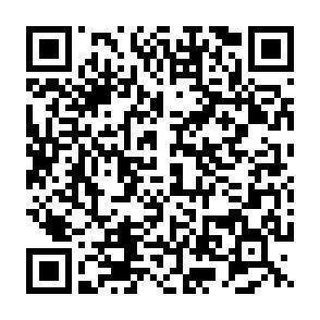 QR-Code - 