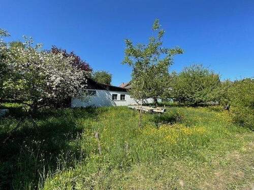 Stall mit Garage - 5 Zimmer Einfamilienhaus in Mudau