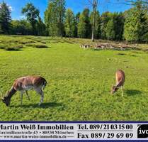 Sonniges und ruhiges Grundstück in Grünwald Nähe Grünwalder Forst