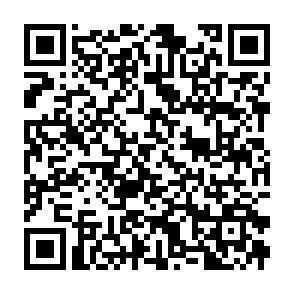 QR-Code - 