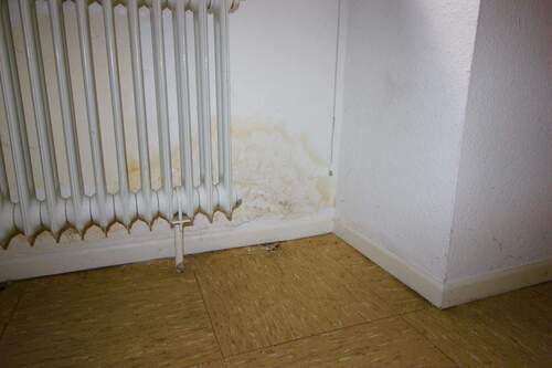 Wasserfleck - trocken - 