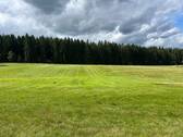Wiesenfläche - 