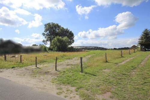 Grundstück - Ansicht - Grundstück zum Kaufen in Königshügel