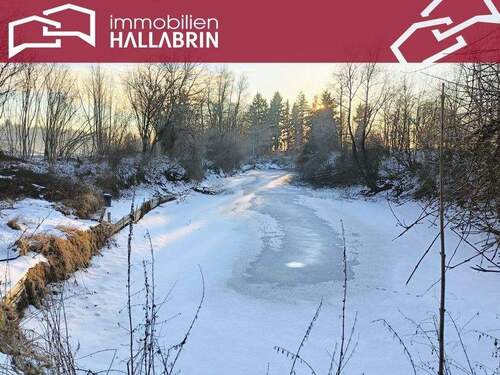 Fischweiher - Freizeitgrundstück mit Fischweiher in Pocking Ortsteil Pfaffing