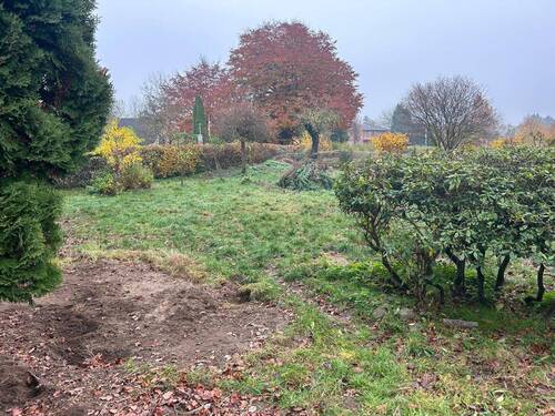 IMG-20251112-WA0006.jpg - 