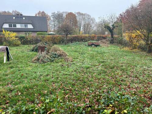 IMG-20251112-WA0007.jpg - 