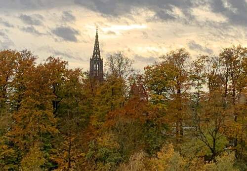 2- Münsterblick.jpg - 3 Zimmer Etagenwohnung zur Miete in Ulm