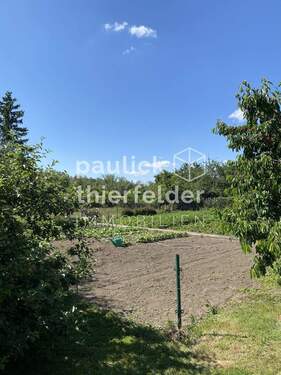 IMG_7881 - Grundstück in Neukieritzsch