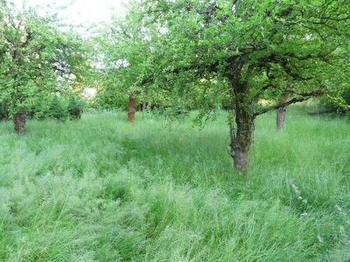 Garten - 
