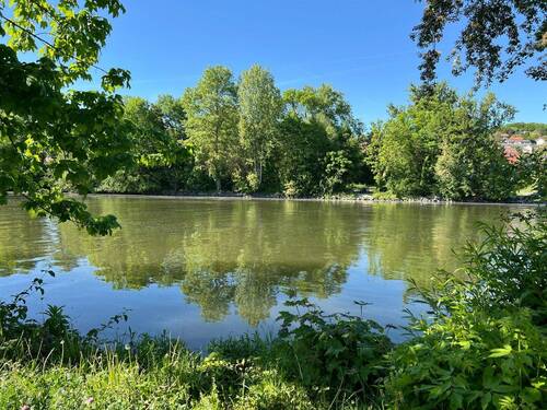 Blick auf den Main - 