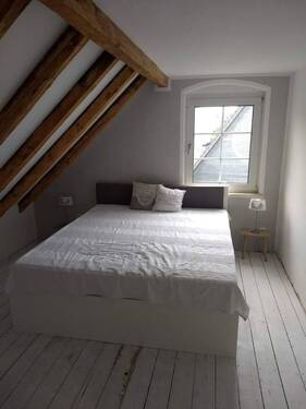 Zimmer DG - 