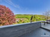 Ausblick - 
